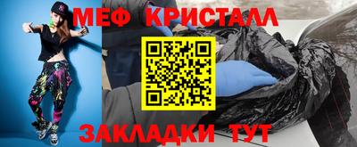 прущие грибы Кандалакша