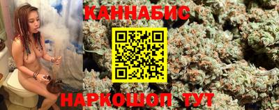 прущие грибы Кандалакша