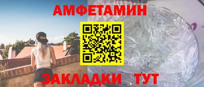 прущие грибы Кандалакша