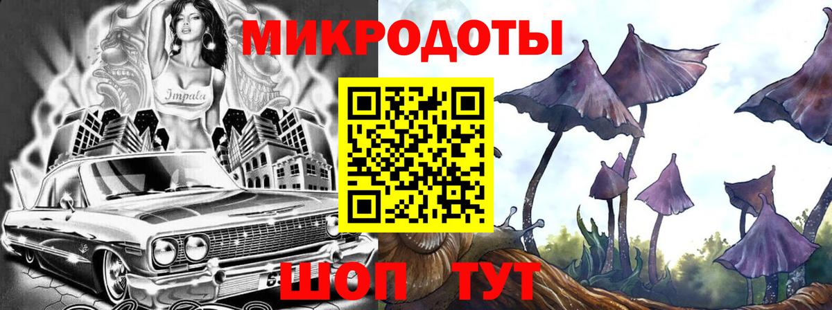 Псилоцибиновые грибы Psilocybine cubensis Кудымкар